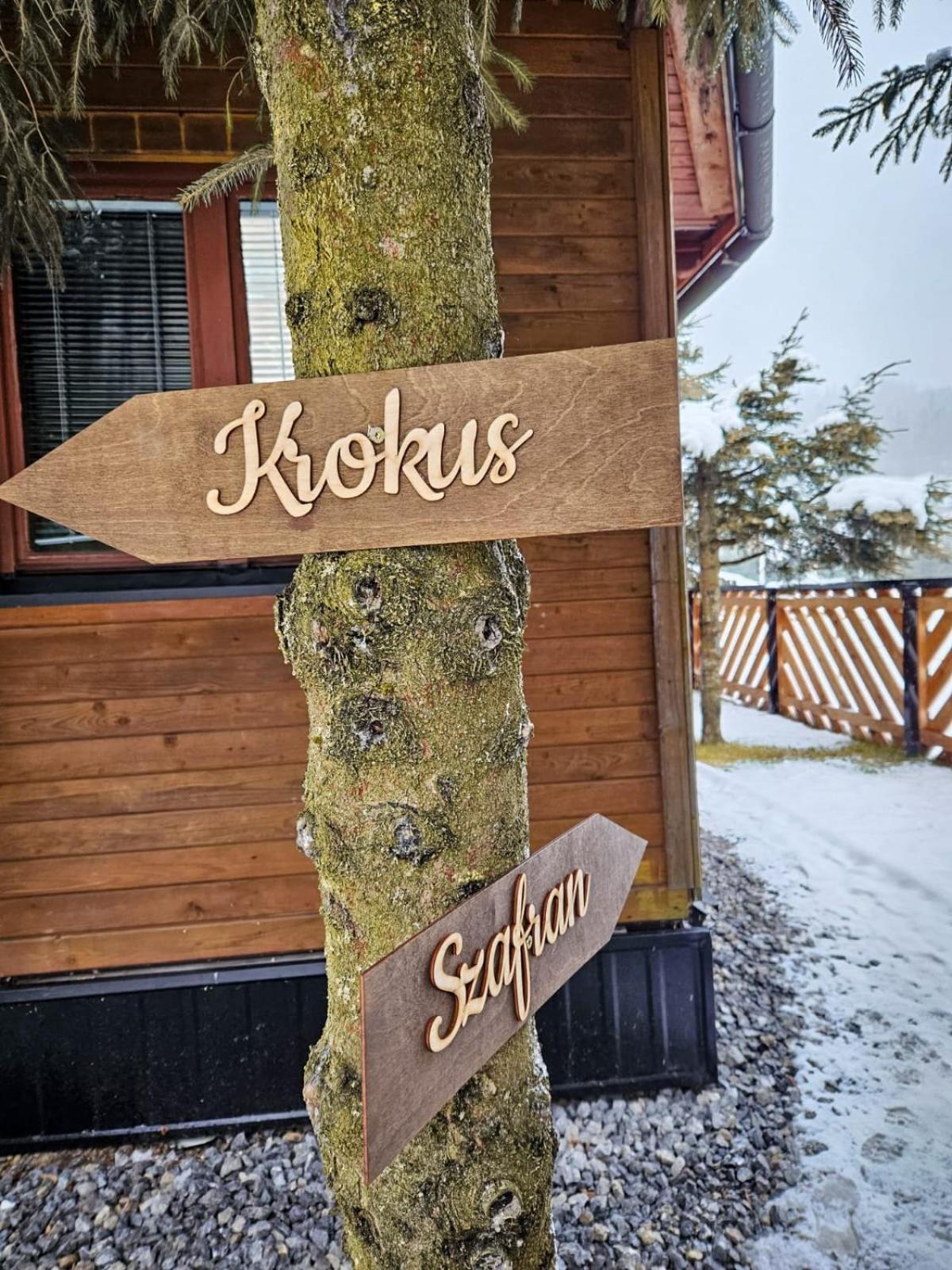Domek Drewniany Krokus Witów Eksteriør billede